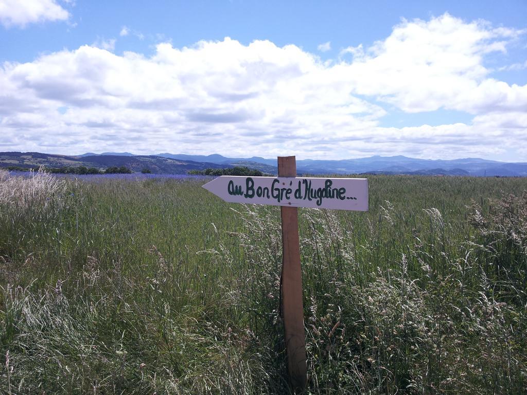 Au Bon Gre D'Hugoline Bed & Breakfast Blanzac  Luaran gambar