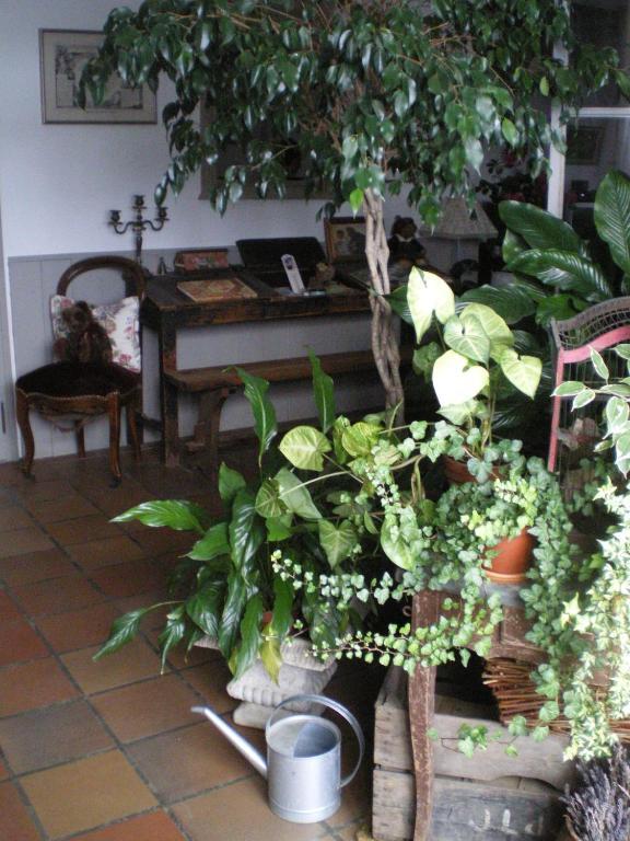 Au Bon Gre D'Hugoline Bed & Breakfast Blanzac  Luaran gambar
