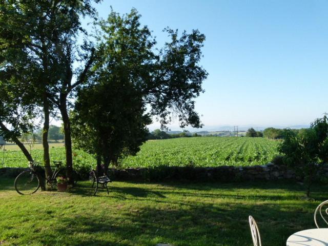Au Bon Gre D'Hugoline Bed & Breakfast Blanzac  Luaran gambar