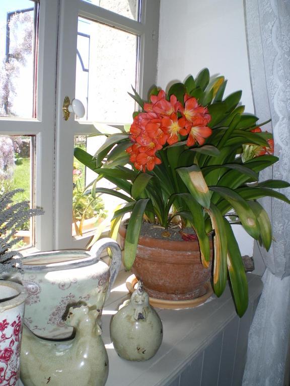 Au Bon Gre D'Hugoline Bed & Breakfast Blanzac  Luaran gambar